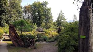 Mich Gerber All Star Jam Band - Noville, Vd, Aug 2017