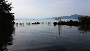 Mich Gerber All Star Jam Band - Noville, Vd, Aug 2017