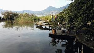 Mich Gerber All Star Jam Band - Noville, Vd, Aug 2017