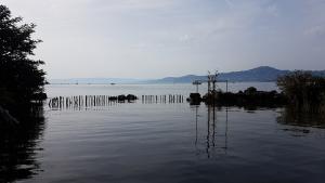 Mich Gerber All Star Jam Band - Noville, Vd, Aug 2017