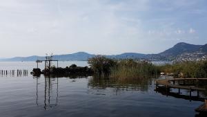 Mich Gerber All Star Jam Band - Noville, Vd, Aug 2017