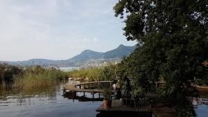 Mich Gerber All Star Jam Band - Noville, Vd, Aug 2017