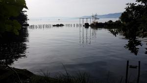 Mich Gerber All Star Jam Band - Noville, Vd, Aug 2017