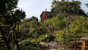 Mich Gerber All Star Jam Band - Noville, Vd, Aug 2017