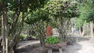 Mich Gerber All Star Jam Band - Noville, Vd, Aug 2017