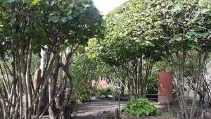 Mich Gerber All Star Jam Band - Noville, Vd, Aug 2017