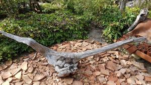 Mich Gerber All Star Jam Band - Noville, Vd, Aug 2017