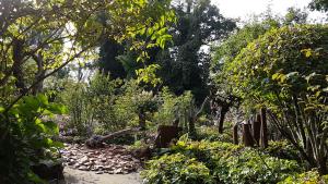 Mich Gerber All Star Jam Band - Noville, Vd, Aug 2017