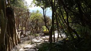 Mich Gerber All Star Jam Band - Noville, Vd, Aug 2017