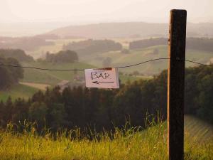 all-star-jam-band-wilde-ma-2015a