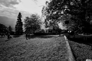 Bex-Arts - Mahadev Cometo, Oct 18, 2020