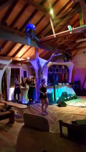 jardin cosmique with shark