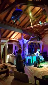 jardin cosmique with shark