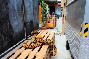 2022-05-28-Nidau-dedicaces-13