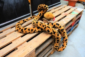 2022-05-28-Nidau-dedicaces-14